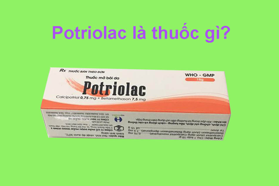 Thông tin về thuốc Potriolac 